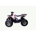 thumbnail image 2 of Tao Motor Raptor 125 VTT de Taille Moyenne Édition Limitée (Assemblage Requis), Graffiti, 2 of 5