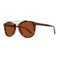 thumbnail image 1 of MP6008 Tortoise 52, 1 of 1