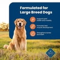 thumbnail image 4 of Blue Buffalo Large Breed Adult Chicken and Brown Rice Dry Dog Food 10kg, 4 of 9