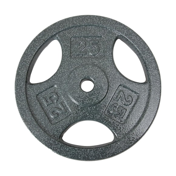 Disque de musculation avec prises GoZone – Argent
