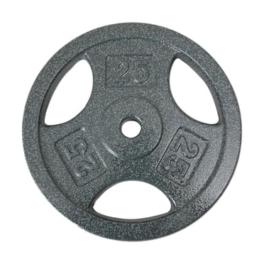 GoZone Grip Weight Plate – Silver