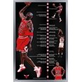 thumbnail image 1 of Michael Jordan - Timeline Wall Poster, 22.375" x 34" Framed, 1 of 4
