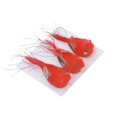 thumbnail image 1 of Cardinal Oiseau Rouge - Lot De 12, 1 of 3