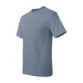 thumbnail image 1 of Hanes Men's Authentic-T T-Shirt - 5250T (Pack Of 3), 1 of 1