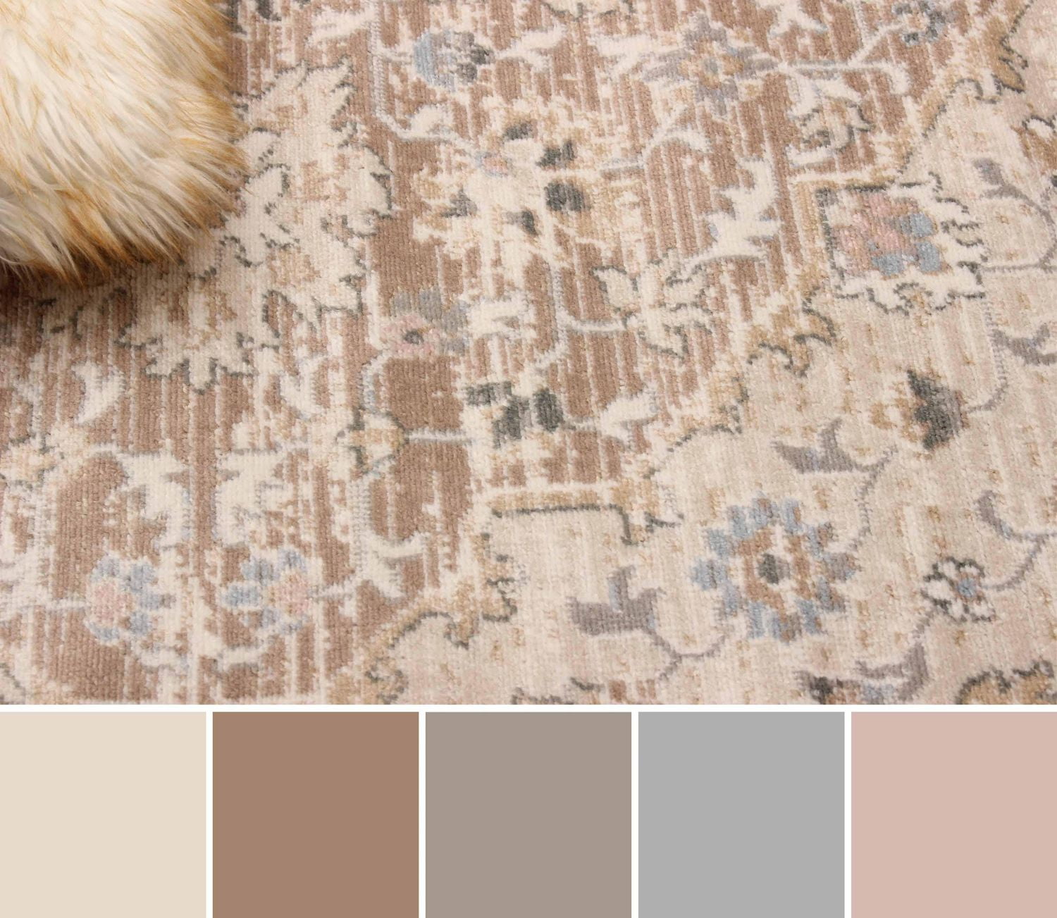 ECARPET Arden Tapis Traditionnel pour Salon, Chambre, Salle A Manger, Entrée, Couloir et Plus Encore.