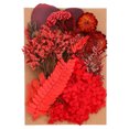 thumbnail image 1 of Unique Bargains Natural Dried Flowers Multiple Colorful Real Dried Pressed Flowers Plant Red Style, 1 of 5