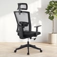 thumbnail image 2 of EDTara Executive Mesh Office Chair, High Back Ergonomic Design with 4D Armrests, Lumbar & Headrest Adjustment, Sliding Seat, Tilt Lock for Home Office, 2 of 9