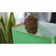 thumbnail image 2 of Miracle-Gro Indoor Potting Soil Mix 17.6L, 2 of 5
