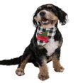 thumbnail image 2 of Flapjacks Pyjamas Assortis pour Chien Bébé & Enfants Adolescents et Adultes (Tailgate Moyen), 2 of 7