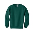thumbnail image 1 of Hanes ComfortBlend EcoSmart Chandail à Col Rond pour Garçon, TP, Vert Forêt Profond, 1 of 3