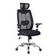 thumbnail image 1 of TygerClaw Ergonomic High Back Mesh Office Chair with Headrest, 1 of 4