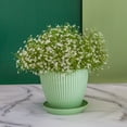 thumbnail image 4 of Jardinières Rondes pour Plantes – Pots de Fleurs avec Plateau pour Succulentes, Bureau et Jardin, 4 of 6
