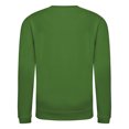 thumbnail image 2 of AWDis Just Hoods Boys/Girls Plain Crew Neck Sweatshirt, 2 of 3