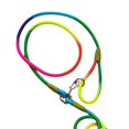 thumbnail image 2 of lionlar Dog Leash Rope Large Medium Dog Traction Rope Leashes Multicolor, 2 of 2