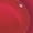 Cherry Splash (Red), variant on Hard Candy Pop Tint Lip Stain, Strawberry Spritz, Hydrating & Long-Lasting with Oils & Hyaluronic Acid