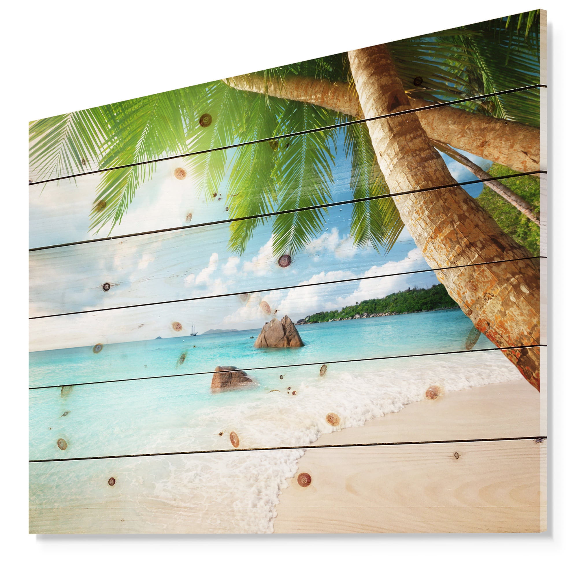 Design Art - Île de Praslin Plage des Seychelles