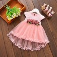 thumbnail image 1 of Bébés Filles Bébé Robe Sans Manches Floral Princesse Dentelle Tutu Robes, 1 of 6