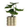 thumbnail image 1 of Simulation Plants Small Potted Bonsai Six Head Monstera Leaf For Office Living Room Desktop Indoor Decoration Plastic Material Set With Square Pot A-993 B, 1 of 9