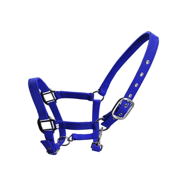 Collier de Tête pour Poney à Tour de Cou Rembourré Grande Résilience Taille Durable Fournitures pour Cheval Équipement de Protection Fournitures pour Cheval Solidité Headstall Tapis de Selle de Course Bleu m