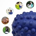 thumbnail image 4 of Rubber Dog Ball Toy - Interactive Dog Squeaky Ball Pet Teething Toy for Puppy, 4 of 7