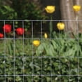 thumbnail image 3 of Midwest Air 308361B 36 in. x 50 ft. Economy Fence, 3 of 4