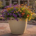 thumbnail image 2 of Sunnydaze Jardinière d'Extérieur à Double Paroi en Anjelica Résistante aux Intempéries - 20 Pouces - Fini Beige, 2 of 10