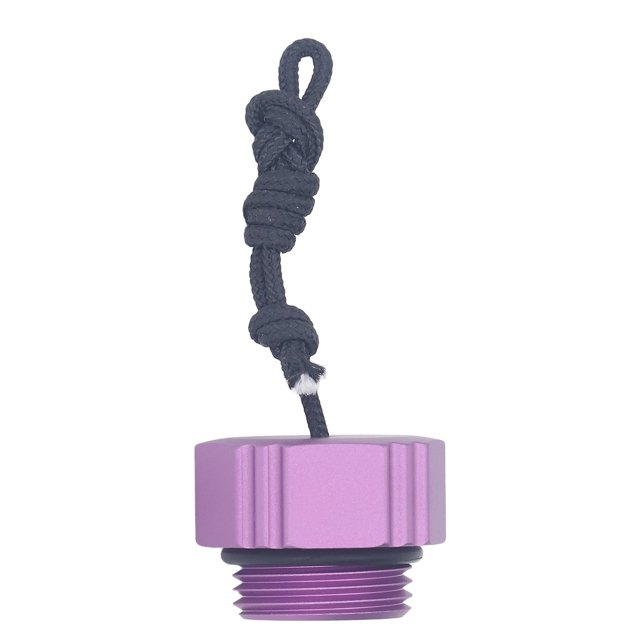 Régulateur de Plongée Anti-Poussière, Alliage d'Aluminium, Fileté, Première Étape Din, Valve Protecteur de Poussière, Rangement Facile, Matériau Durable, Installation Sans Tracas