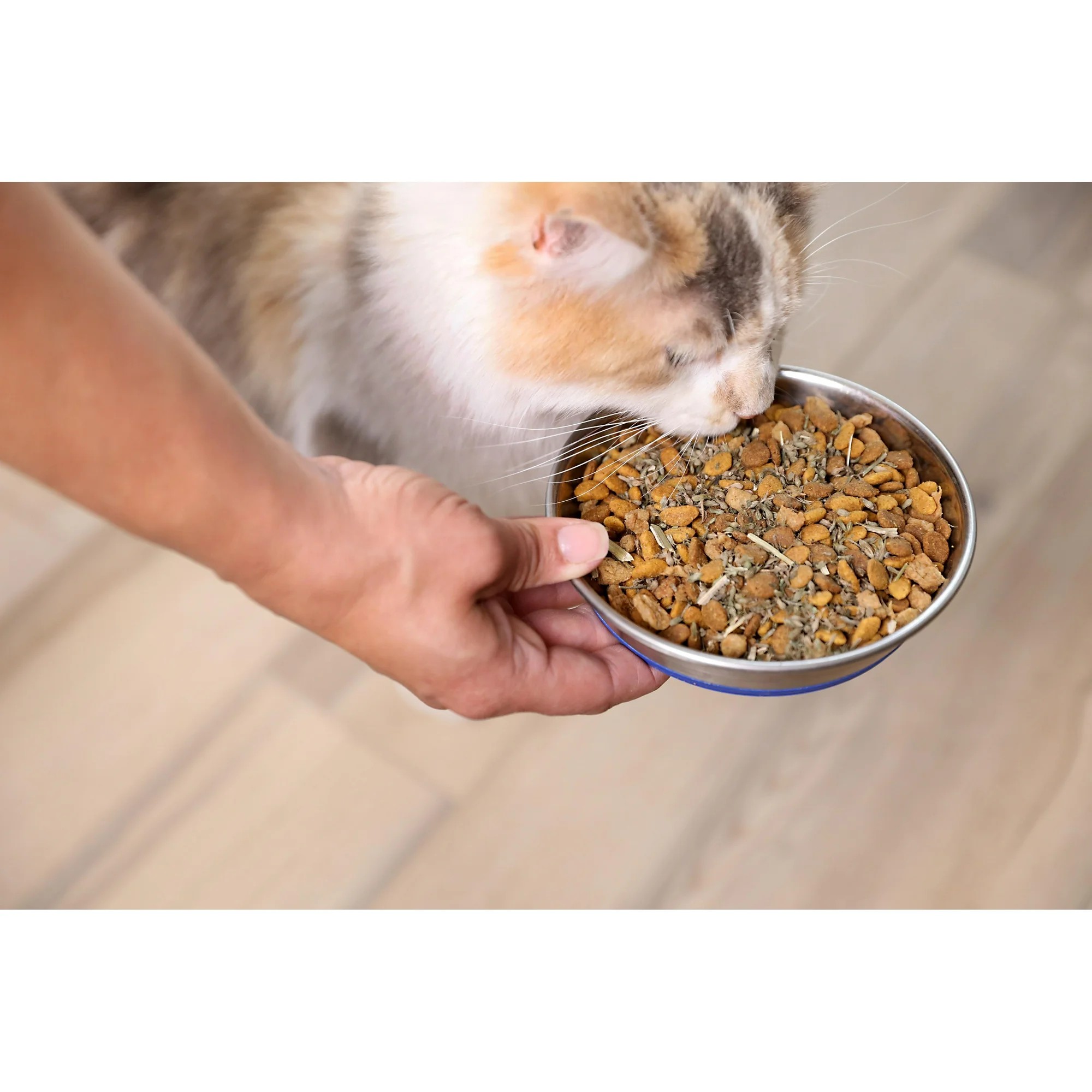 Pet Zone Catnip Resealable Jar for Cats and Kittens, 2.25oz