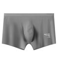 thumbnail image 2 of RXIRUCGD Mens Underwear Men's Solid Color Ice Silk Seamless One Piece Boxer Briefs, 2 of 3