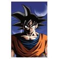 thumbnail image 1 of Dragon Ball Z - Goku Wall Poster, 22.375" x 34", 1 of 4
