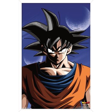 Dragon Ball Z - Goku
