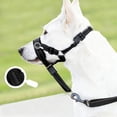 thumbnail image 3 of Adjustable Pet Grooming Table with Secure Restraint System for Large Dog Care and, 3 of 4
