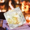 thumbnail image 4 of Amdohai Vraie Fleur de Rose Préservée dans une Boîte Transparente Rose Éternelle Parfumée, 4 of 7