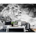 thumbnail image 3 of Papier Peint 3D Lion Blanc SKU# WAL0165, 3 of 6