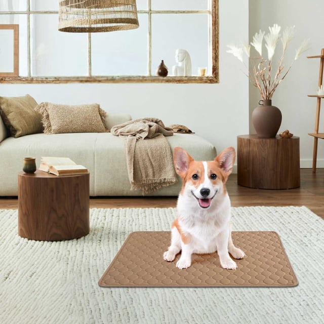 Clearance under $5 Tyidzon Puppy Pads Super Absorbent Pee Pads for Dogs Thicker,Leak-Proof Quick-Dry Design for Potty Training, Potty Pads for Dogs,Dog Pad,Pet Pee Pads