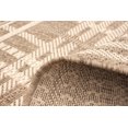thumbnail image 3 of ECARPET Indoor Outdoor Area Rug for Patio, Deck, Living Room Sisal Burburry Collection, 3 of 9