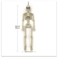 thumbnail image 3 of Halloween Skeleton Decorations with Posable Joints Skeletons for Halloween Party Haunted House Props Decorations, 2 Packs, Style 1, 3 of 9