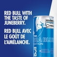 thumbnail image 2 of Red Bull Energy Drink, Sea Blue Edition4X250ML, 2 of 5