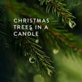 thumbnail image 4 of Thymes Tin Candle - 2.5 Oz - Frasier Fir, 4 of 10