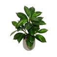thumbnail image 2 of Plante mince de Lerman Decor en pot en zigzag, 2 of 5