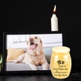 thumbnail image 4 of Urne pour Animaux Pot Commémoratif Chats Chien Produits Funéraires Urne en Alliage Scellée, 4 of 6