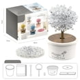 thumbnail image 2 of BINGLI Crystal Growing Kit, Science Kits for Kids Age 8-12, Grow Fast Science Experiments Lab Toys, DIY Projects Learning & Educational Toys, Crafts Gift Boys & Girls Ages 6 7 8 9 10 12, 2 of 4