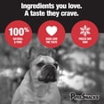 thumbnail image 2 of PureSnacks Freeze Dried Chicken Breast Dog Treats, 2 of 9