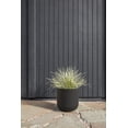 thumbnail image 2 of Veradek Mason Series Kona 15" Planter Black, 2 of 8