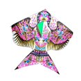 thumbnail image 4 of Siruishop Huge Kite Classic Pattern Colorful Large Giant Kites for Props Backyard Trip 165x180cm, 4 of 8