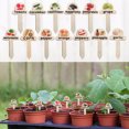 thumbnail image 1 of MTBLYS Natural Wood Markers Vegetable Garden Labels Herb Signs 1 Pcs Waterproof Weatherproof Indoor Outdoor Use, 1 of 8