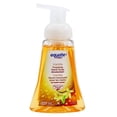 thumbnail image 2 of Equate Vanilla Foaming Hand Soap with Soothing Vitamin E, 221 ml, 2 of 8