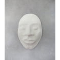 thumbnail image 4 of ACTÍVA CelluClay Instant Paper Mache, 1 lb, 4 of 4