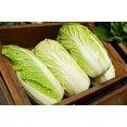 thumbnail image 4 of HIGHGW Napa Chinese Peking Cabbage Vegetable for Planting Heirloom, 4 of 8