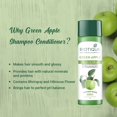 thumbnail image 5 of Biotique Bio Green Apple Shampoo & Conditioner 190ml, 5 of 5